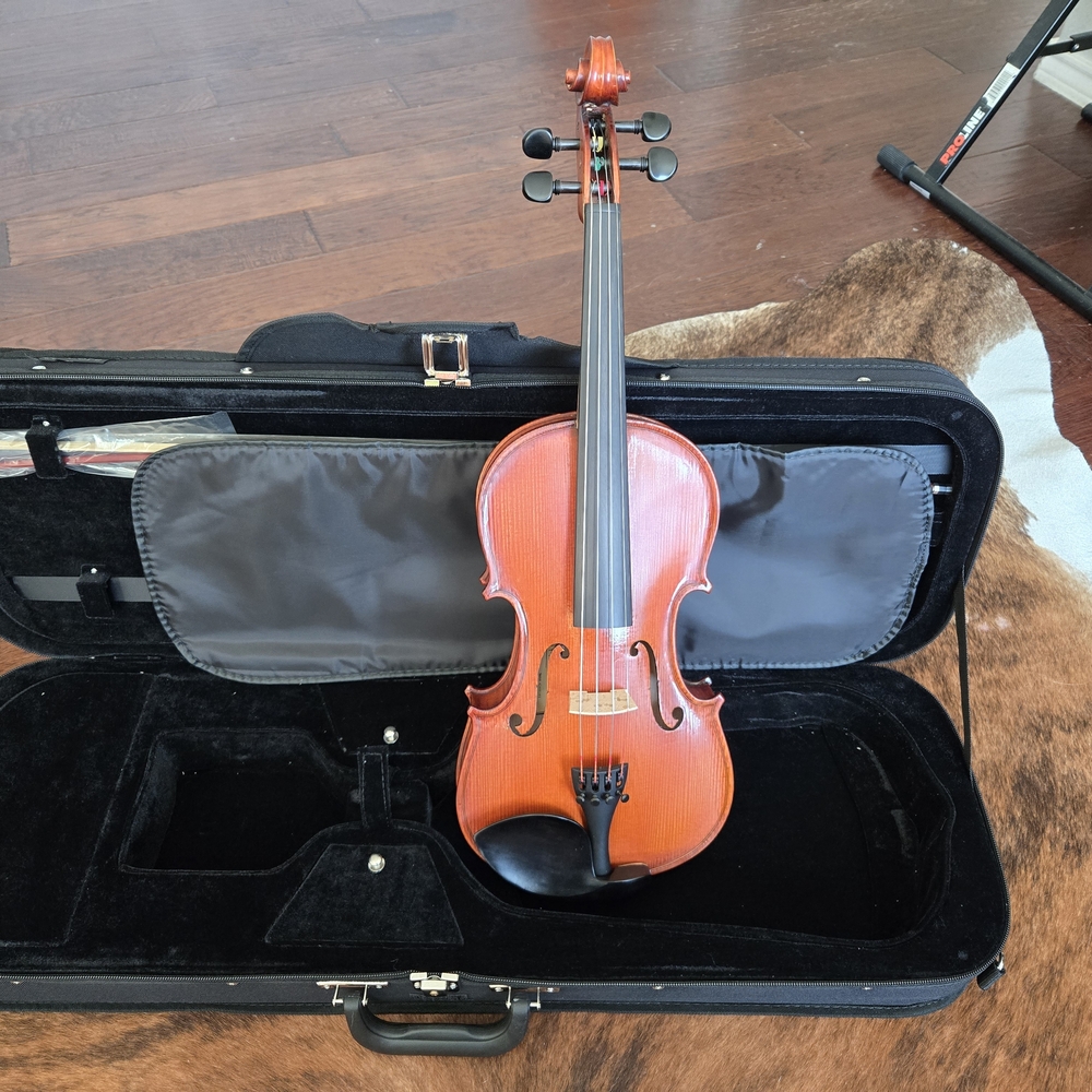 Bellafina Violin Outfit Domenico Model Oblong Case / Brazilwood Bow 4/4